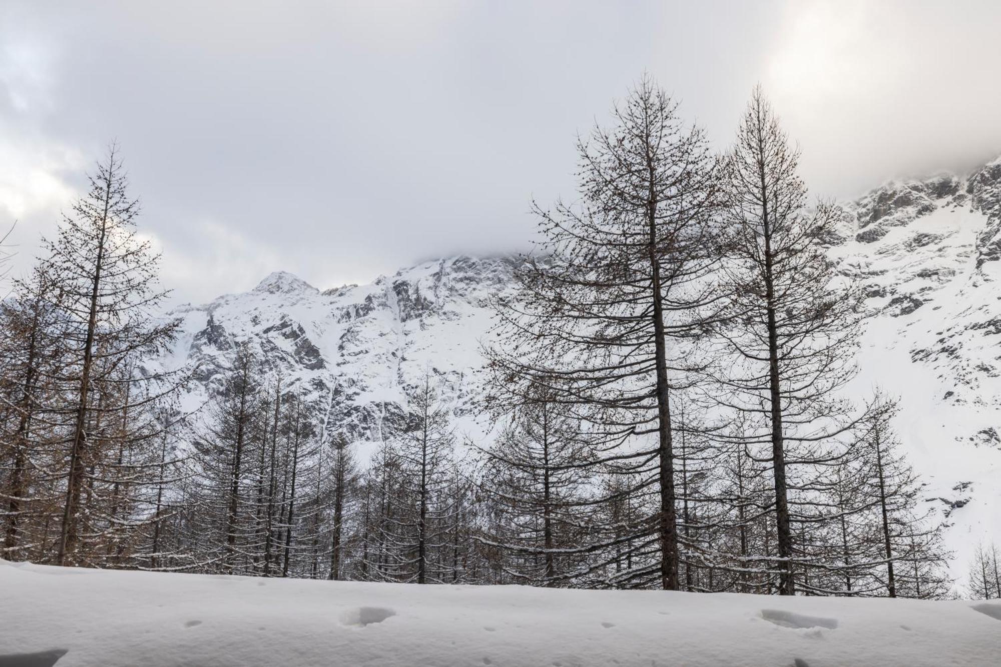 Erikzang - Cervinia Ski In Ski Out Apartments Брей-Червиния Экстерьер фото